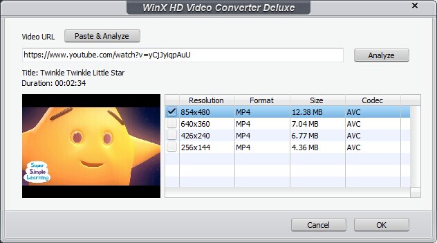 Paste URL to video converter deluxe